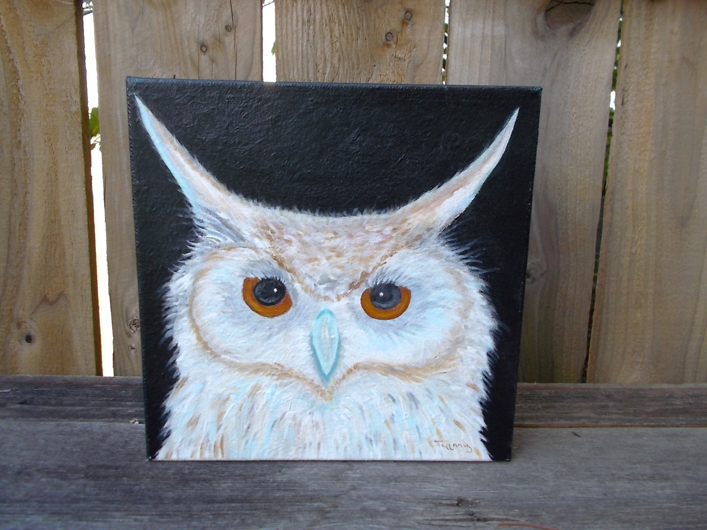 Hooter - Original Painting