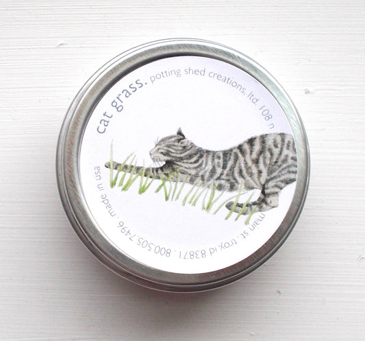 Cat Grass Garden Seed