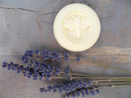 Lavender Lotion Bars - 100% Natural
