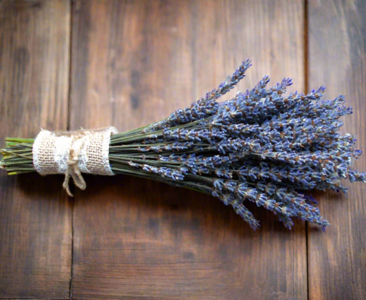 Short Dried Lavender Bundles short