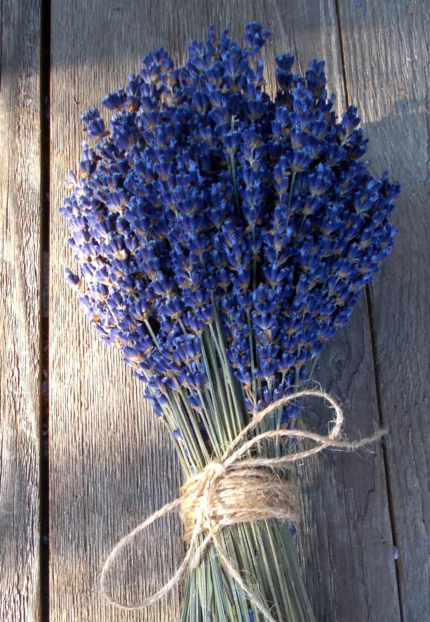 Dried English Lavender Bouquets