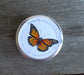 Butterfly Garden Seed