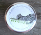 Cat Grass Garden Seed