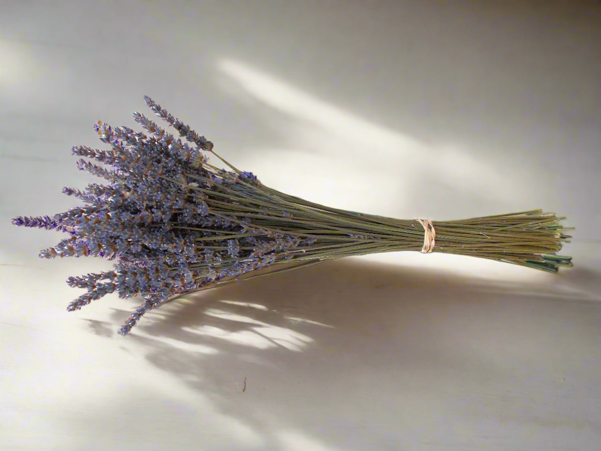 Short Dried Lavender Field Bundles - Box Of Six